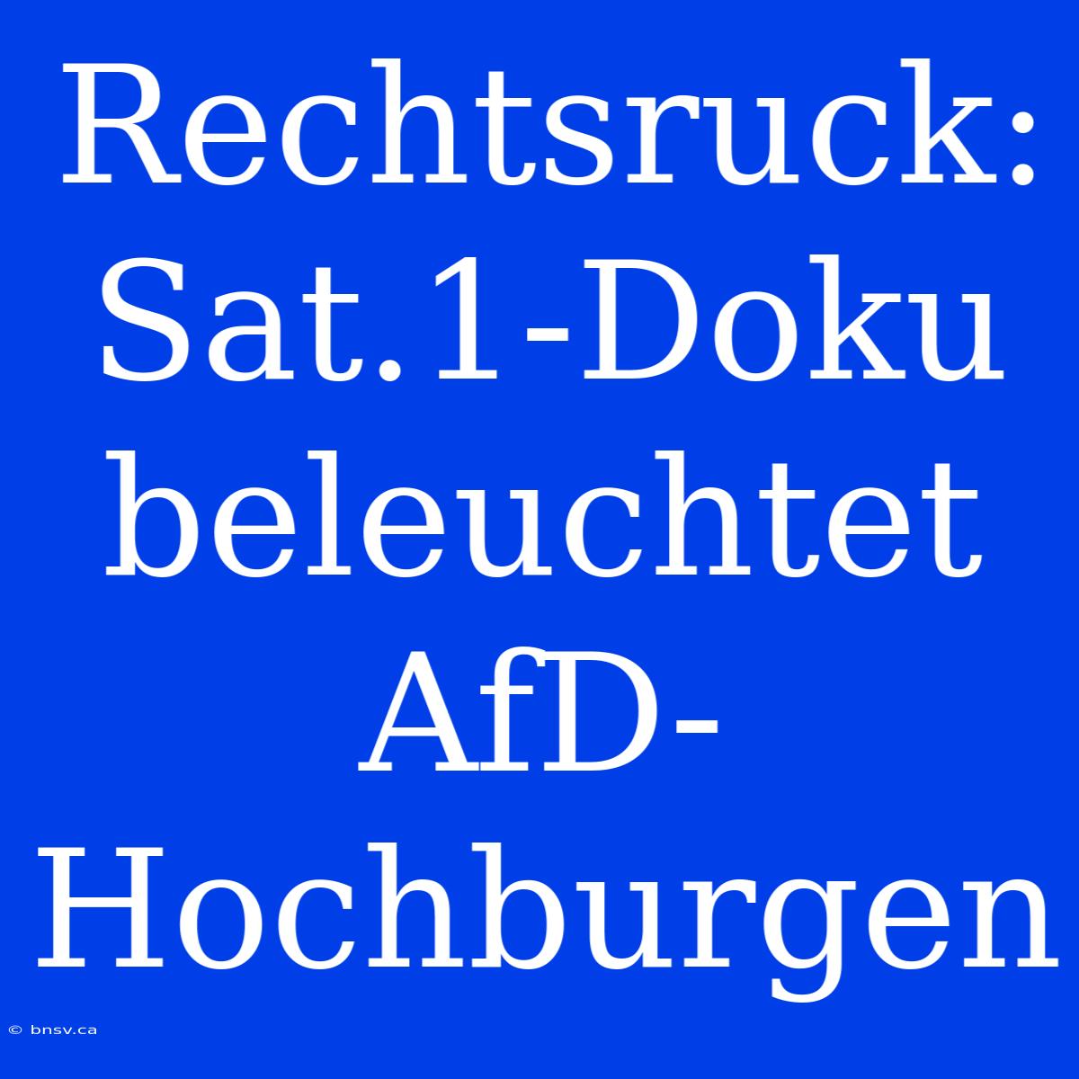 Rechtsruck: Sat.1-Doku Beleuchtet AfD-Hochburgen