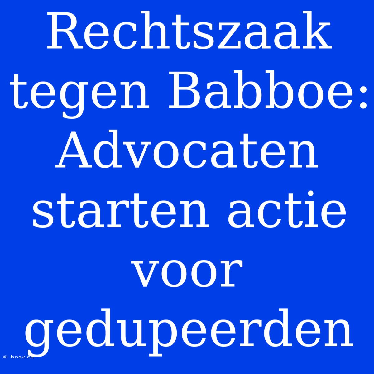 Rechtszaak Tegen Babboe: Advocaten Starten Actie Voor Gedupeerden