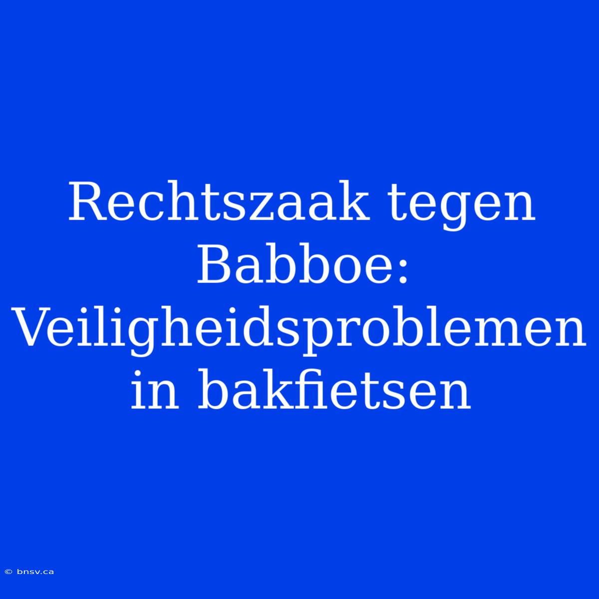 Rechtszaak Tegen Babboe: Veiligheidsproblemen In Bakfietsen