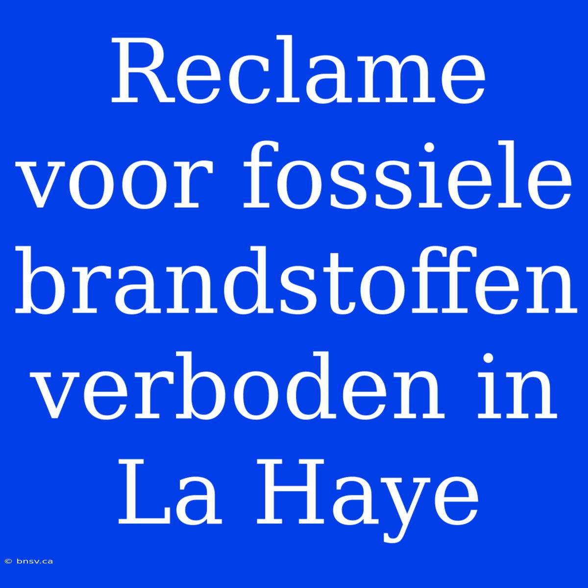 Reclame Voor Fossiele Brandstoffen Verboden In La Haye