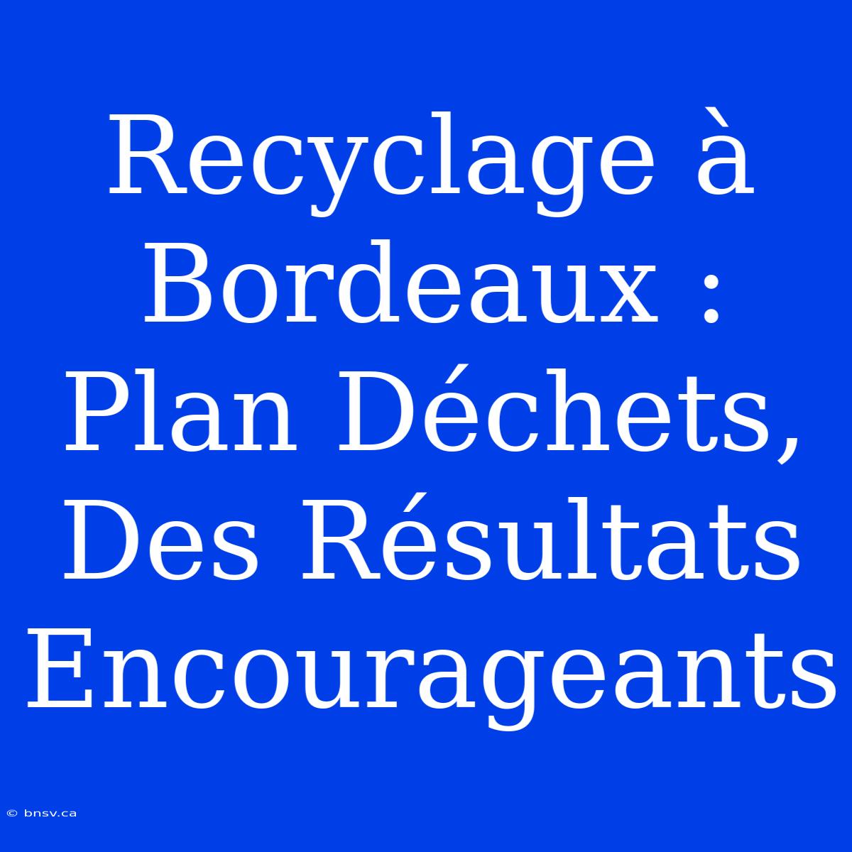 Recyclage À Bordeaux : Plan Déchets, Des Résultats Encourageants