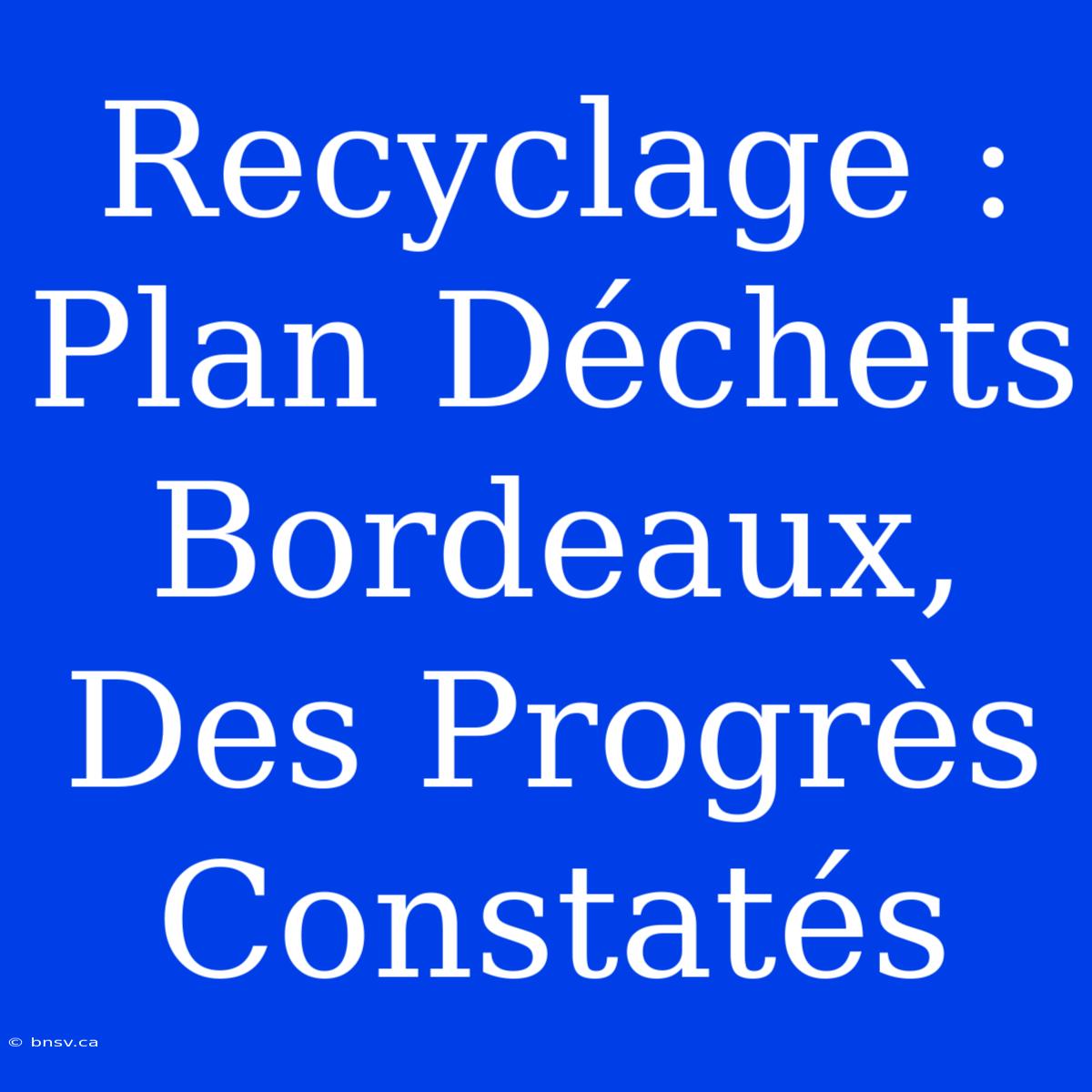 Recyclage : Plan Déchets Bordeaux, Des Progrès Constatés