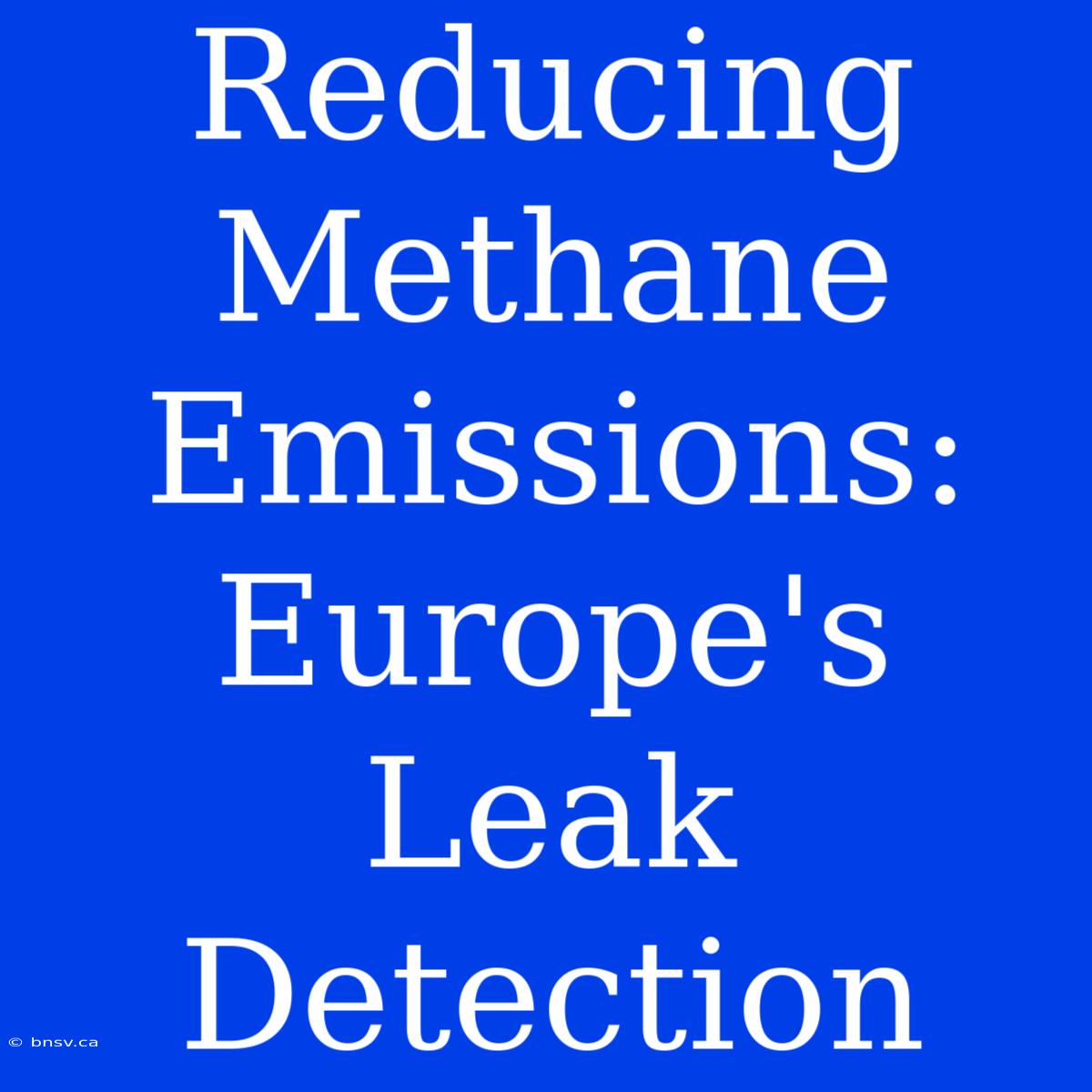 Reducing Methane Emissions:  Europe's Leak Detection