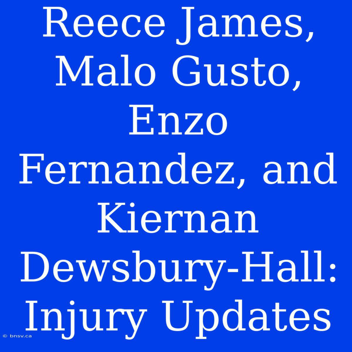 Reece James, Malo Gusto, Enzo Fernandez, And Kiernan Dewsbury-Hall: Injury Updates