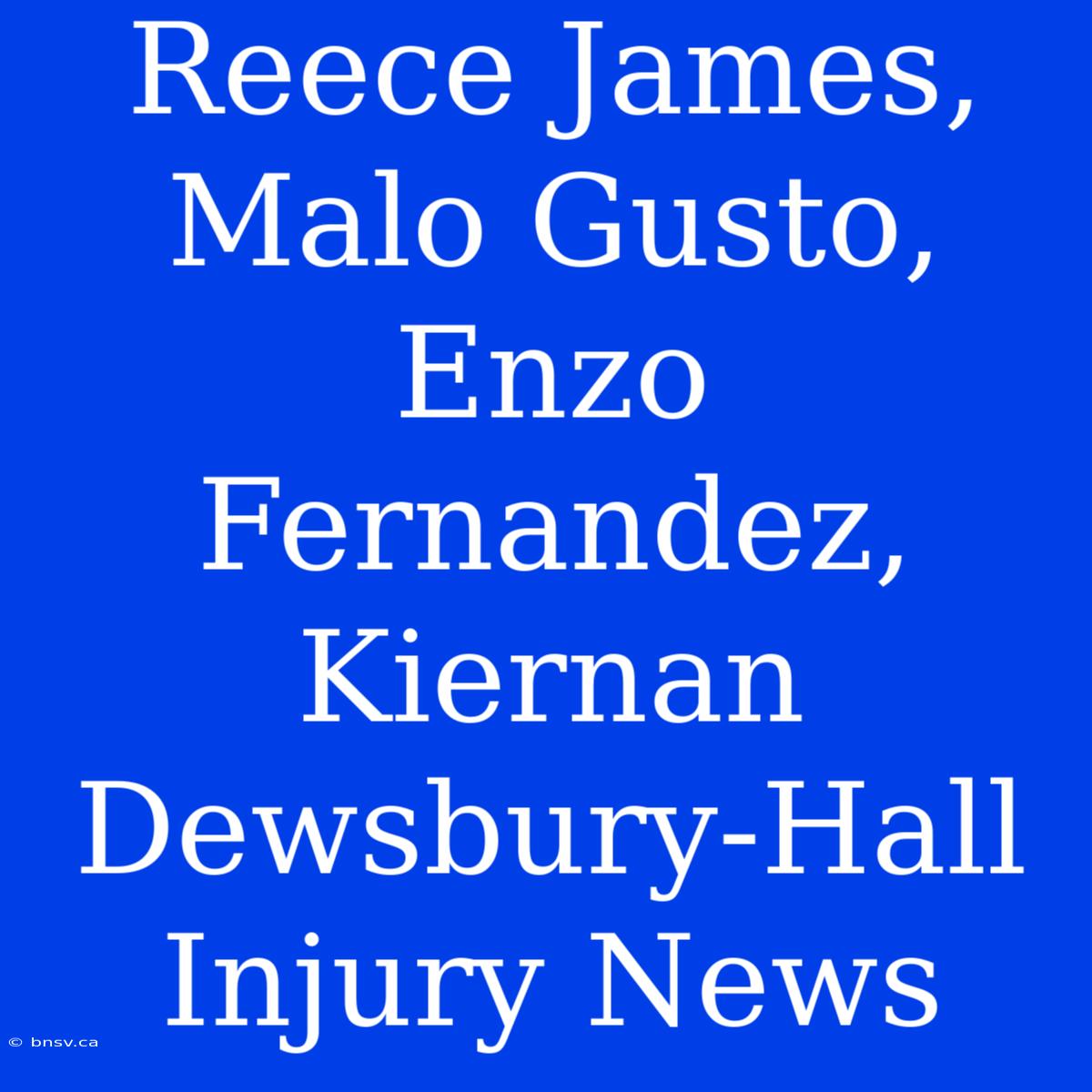 Reece James, Malo Gusto, Enzo Fernandez, Kiernan Dewsbury-Hall Injury News