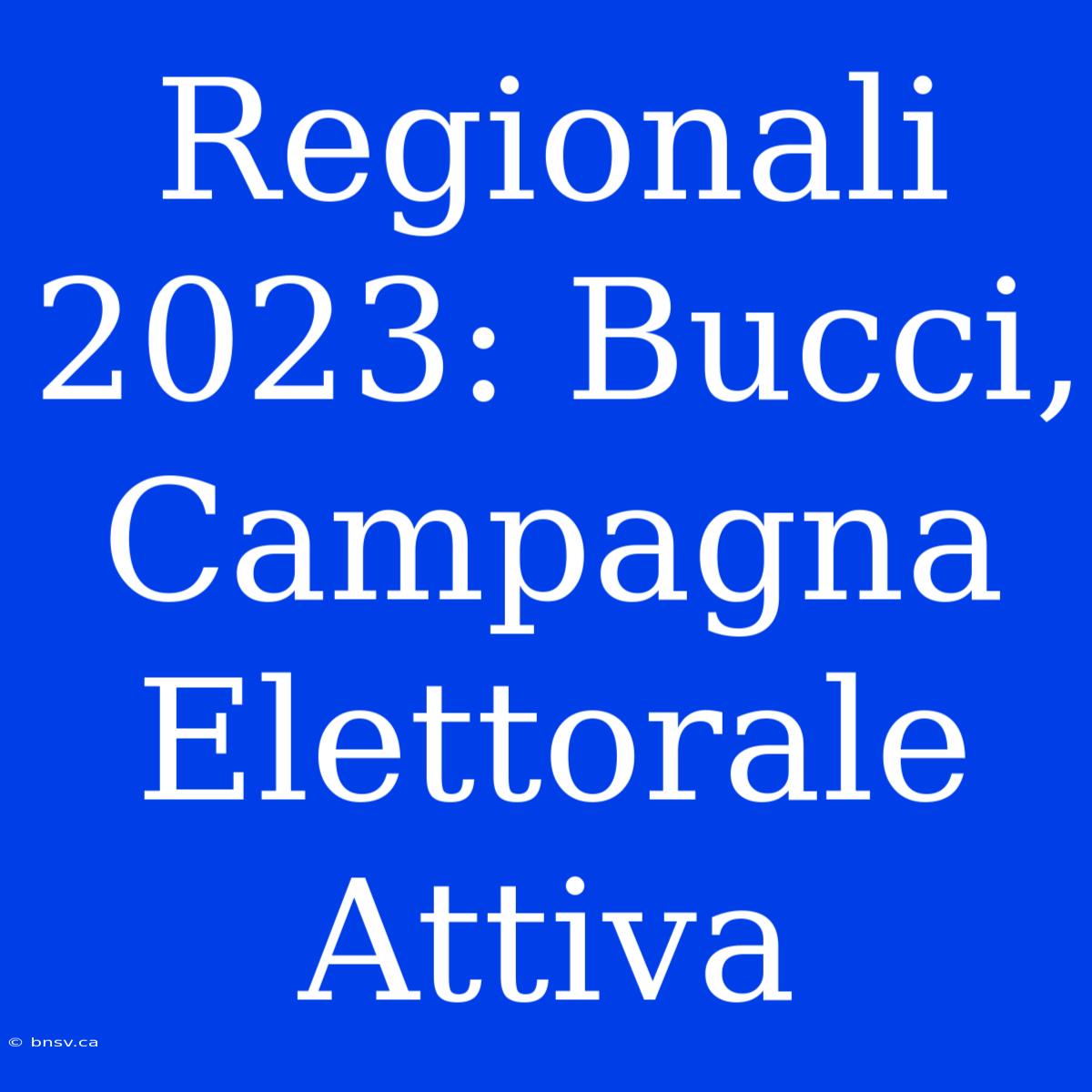 Regionali 2023: Bucci, Campagna Elettorale Attiva