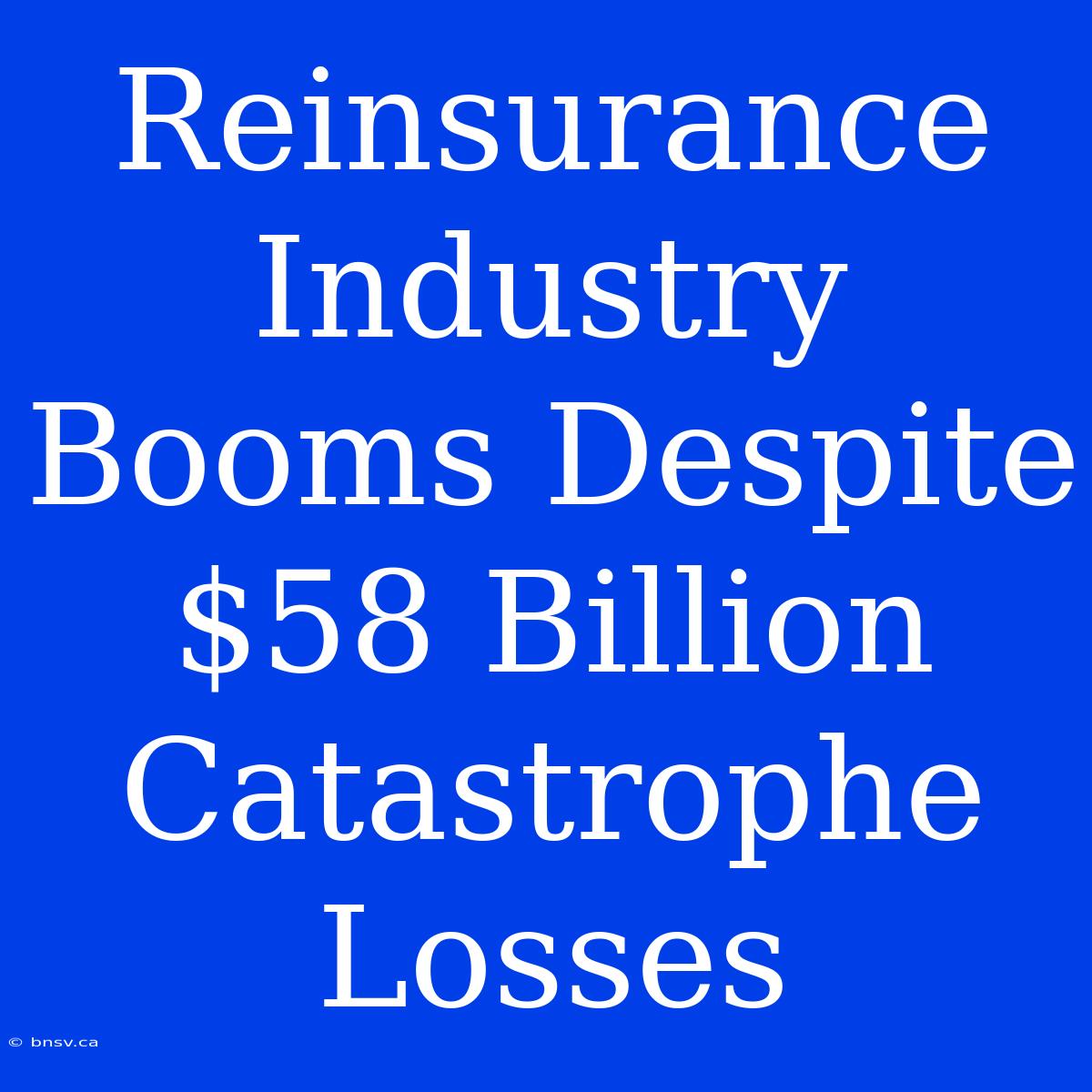 Reinsurance Industry Booms Despite $58 Billion Catastrophe Losses