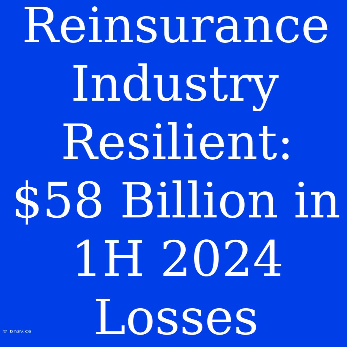 Reinsurance Industry Resilient: $58 Billion In 1H 2024 Losses