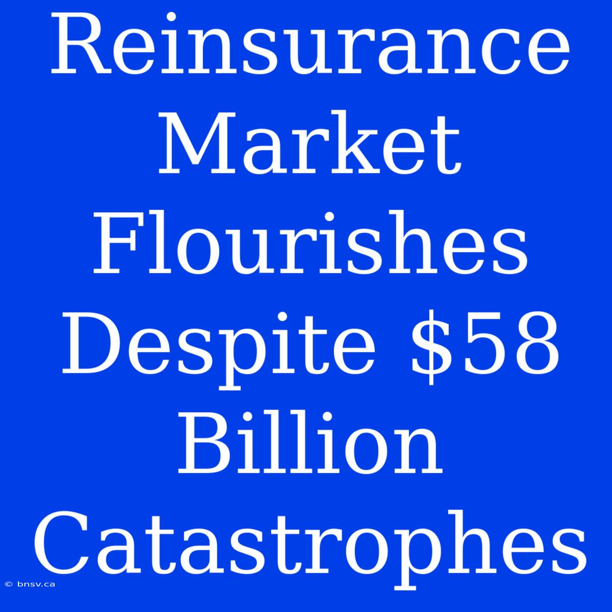 Reinsurance Market Flourishes Despite $58 Billion Catastrophes