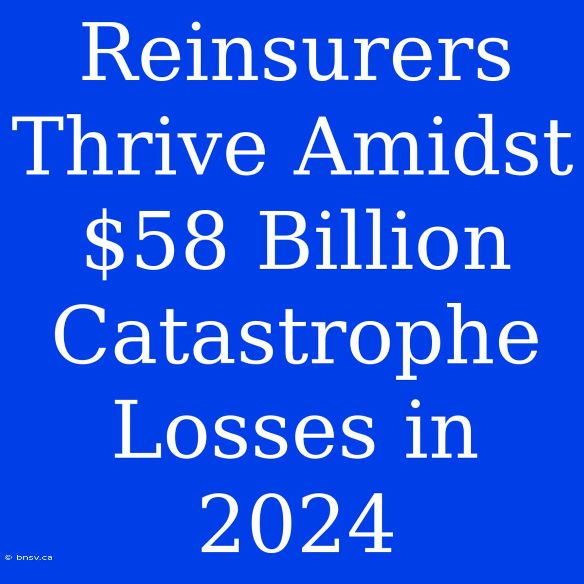 Reinsurers Thrive Amidst $58 Billion Catastrophe Losses In 2024