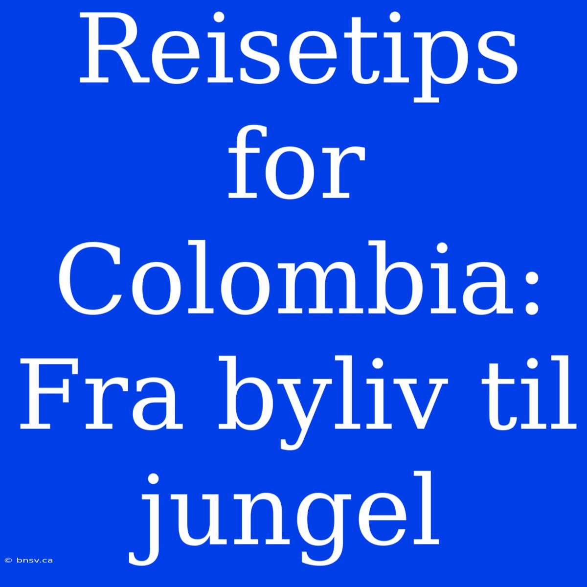 Reisetips For Colombia: Fra Byliv Til Jungel