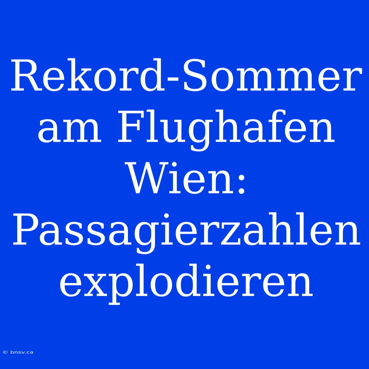 Rekord-Sommer Am Flughafen Wien: Passagierzahlen Explodieren