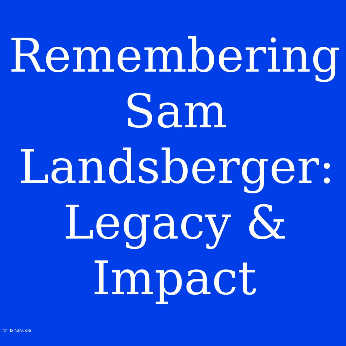 Remembering Sam Landsberger: Legacy & Impact