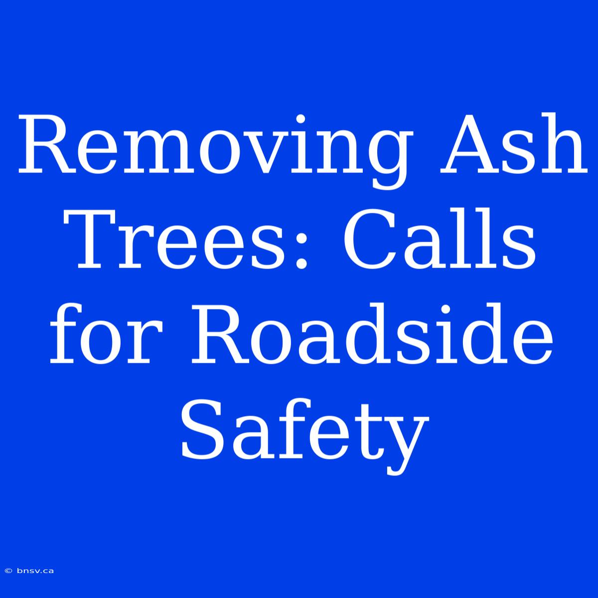 Removing Ash Trees: Calls For Roadside Safety