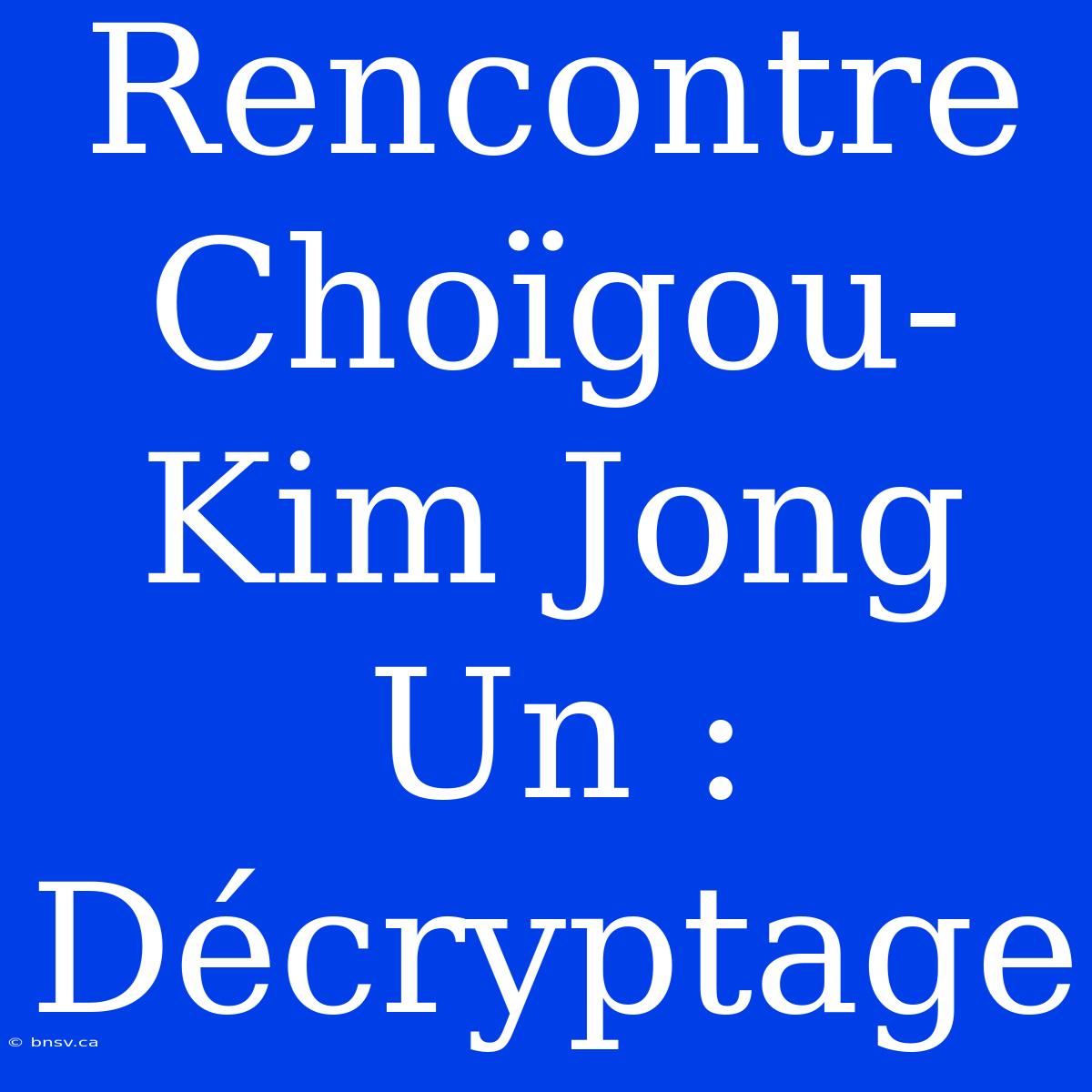 Rencontre Choïgou-Kim Jong Un : Décryptage