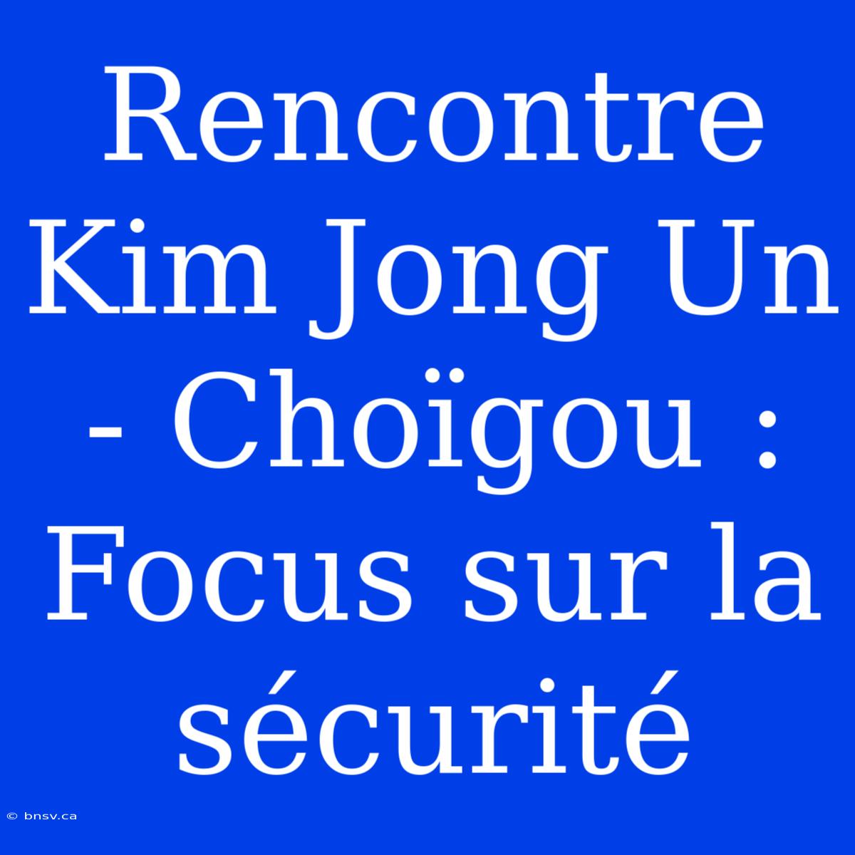 Rencontre Kim Jong Un - Choïgou : Focus Sur La Sécurité