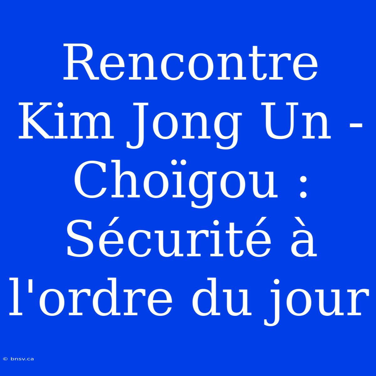 Rencontre Kim Jong Un - Choïgou : Sécurité À L'ordre Du Jour