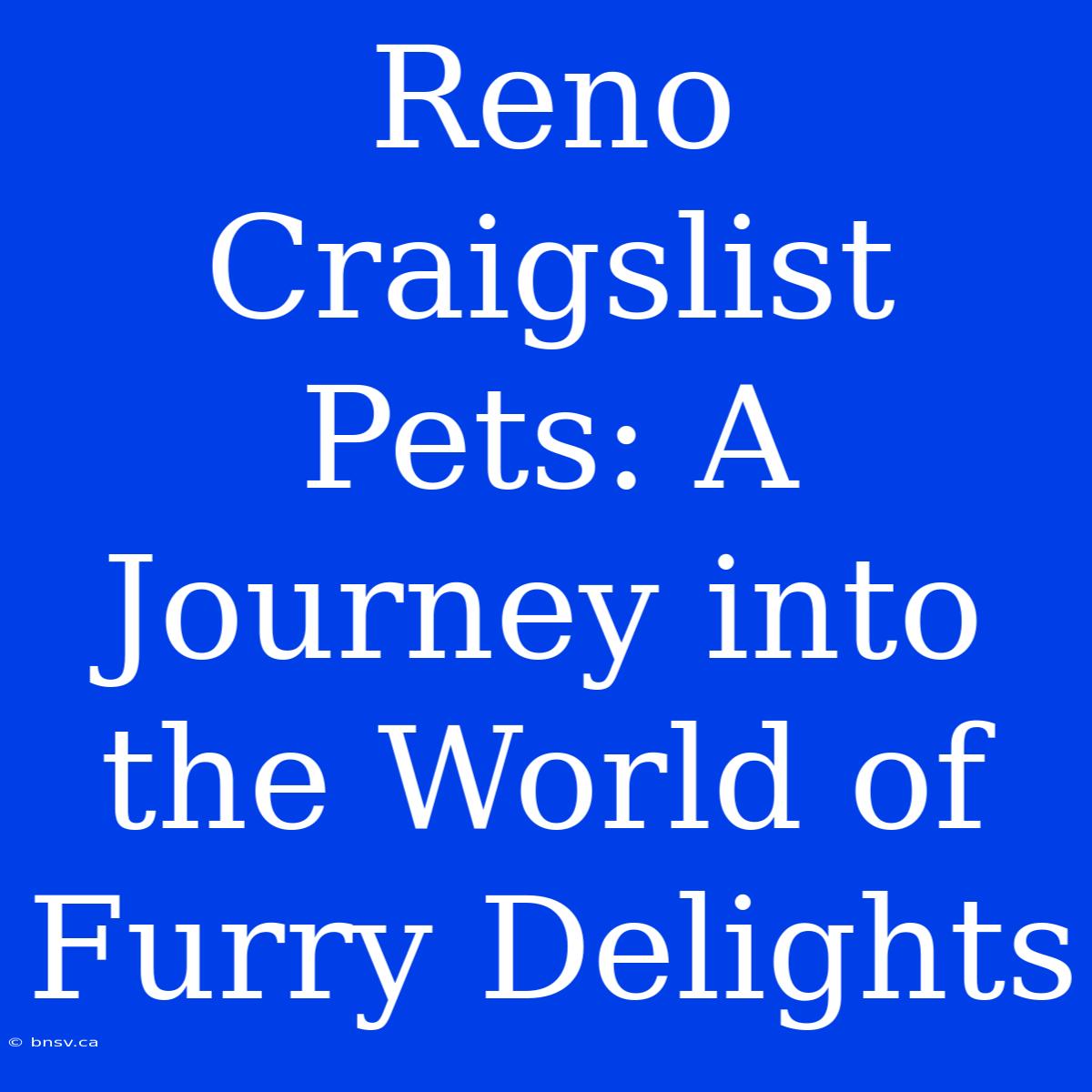 Reno Craigslist Pets: A Journey Into The World Of Furry Delights