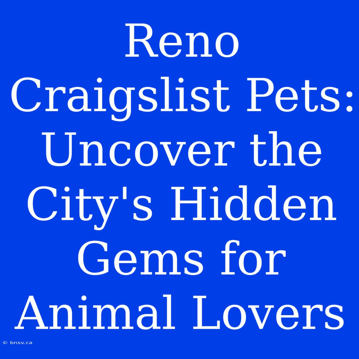 Reno Craigslist Pets: Uncover The City's Hidden Gems For Animal Lovers