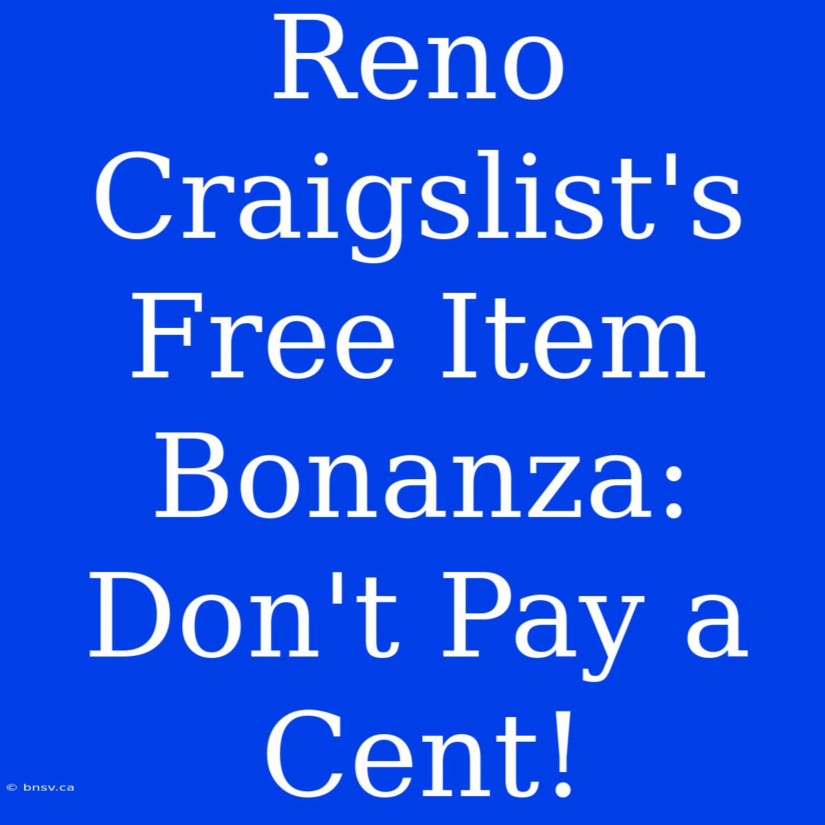 Reno Craigslist's Free Item Bonanza: Don't Pay A Cent!