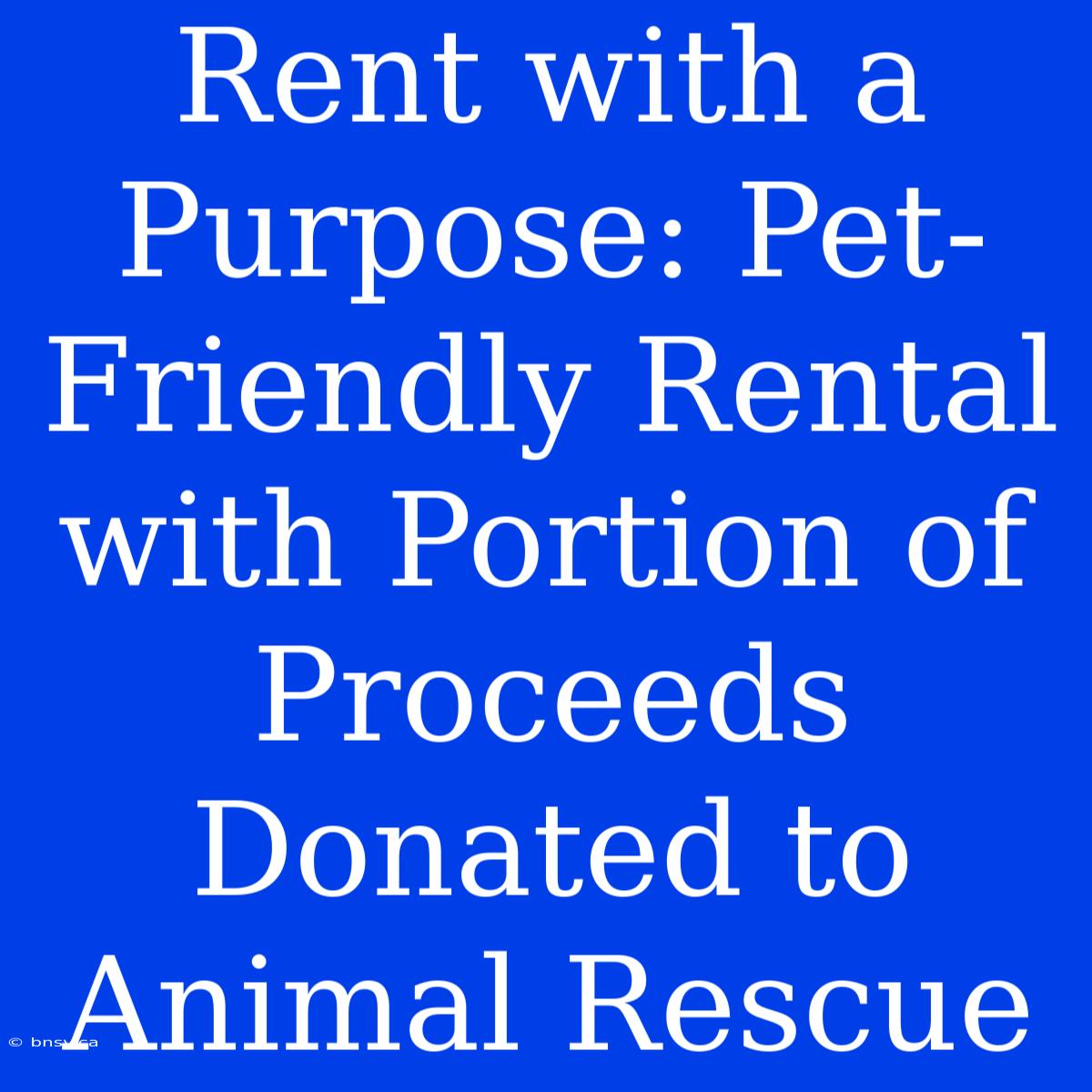 Rent With A Purpose: Pet-Friendly Rental With Portion Of Proceeds Donated To Animal Rescue