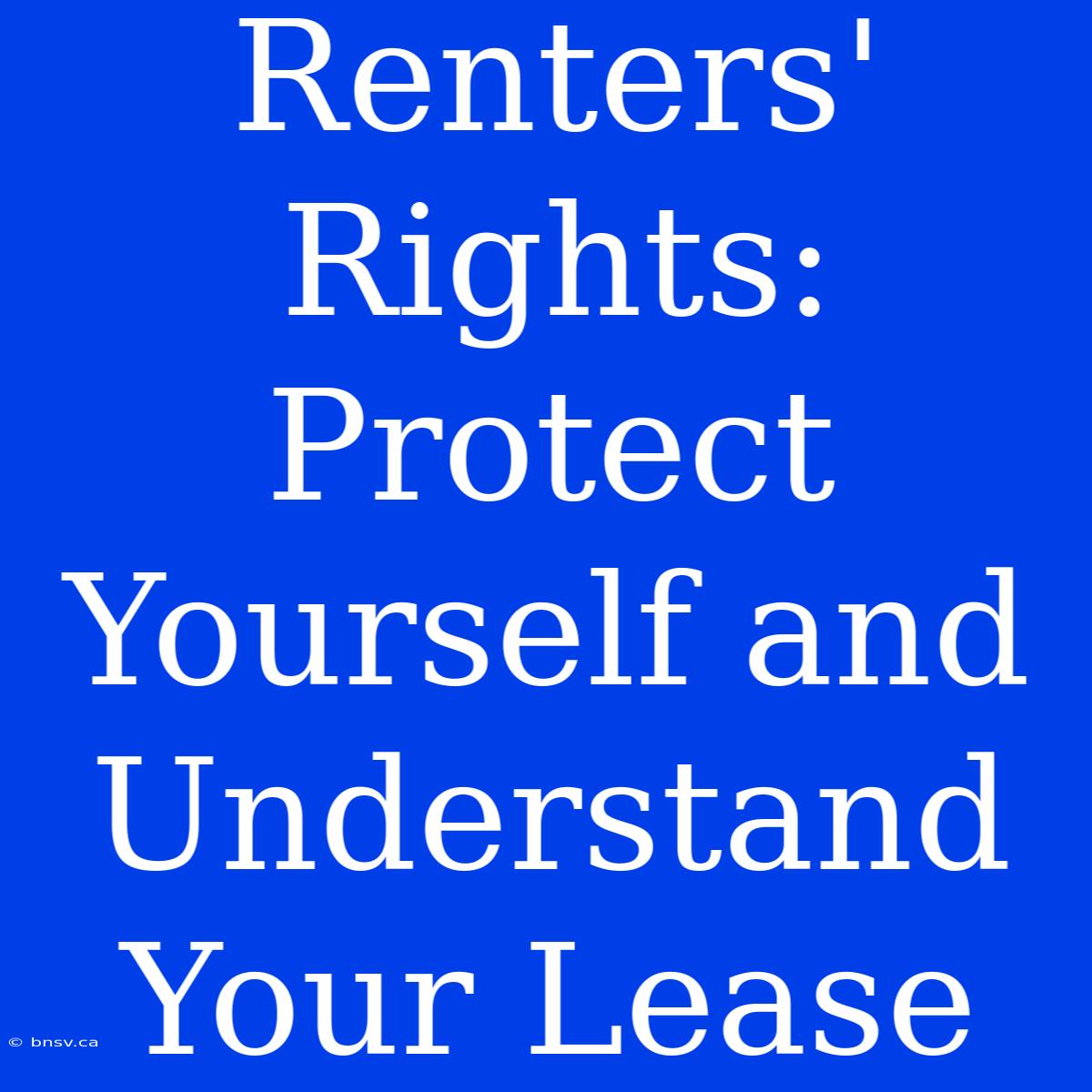 Renters' Rights: Protect Yourself And Understand Your Lease