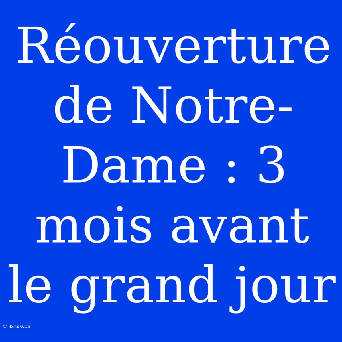 Réouverture De Notre-Dame : 3 Mois Avant Le Grand Jour