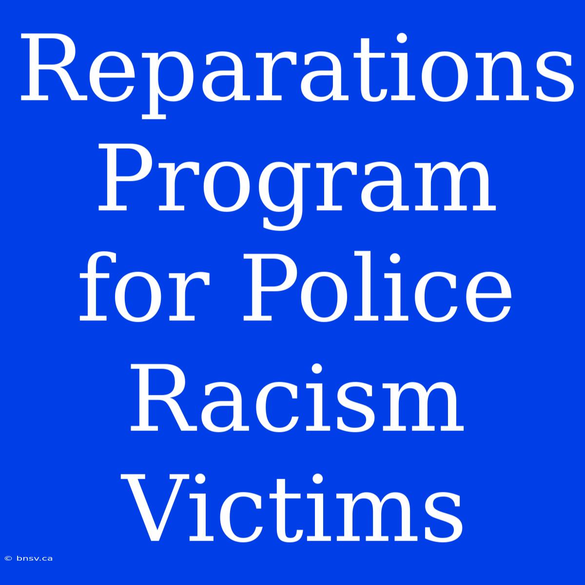 Reparations Program For Police Racism Victims