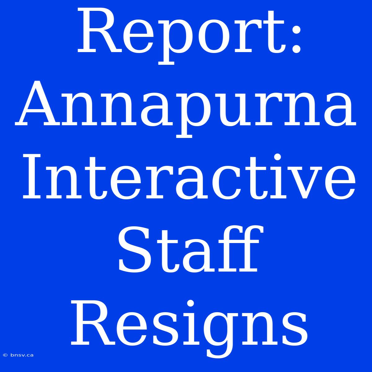 Report: Annapurna Interactive Staff Resigns