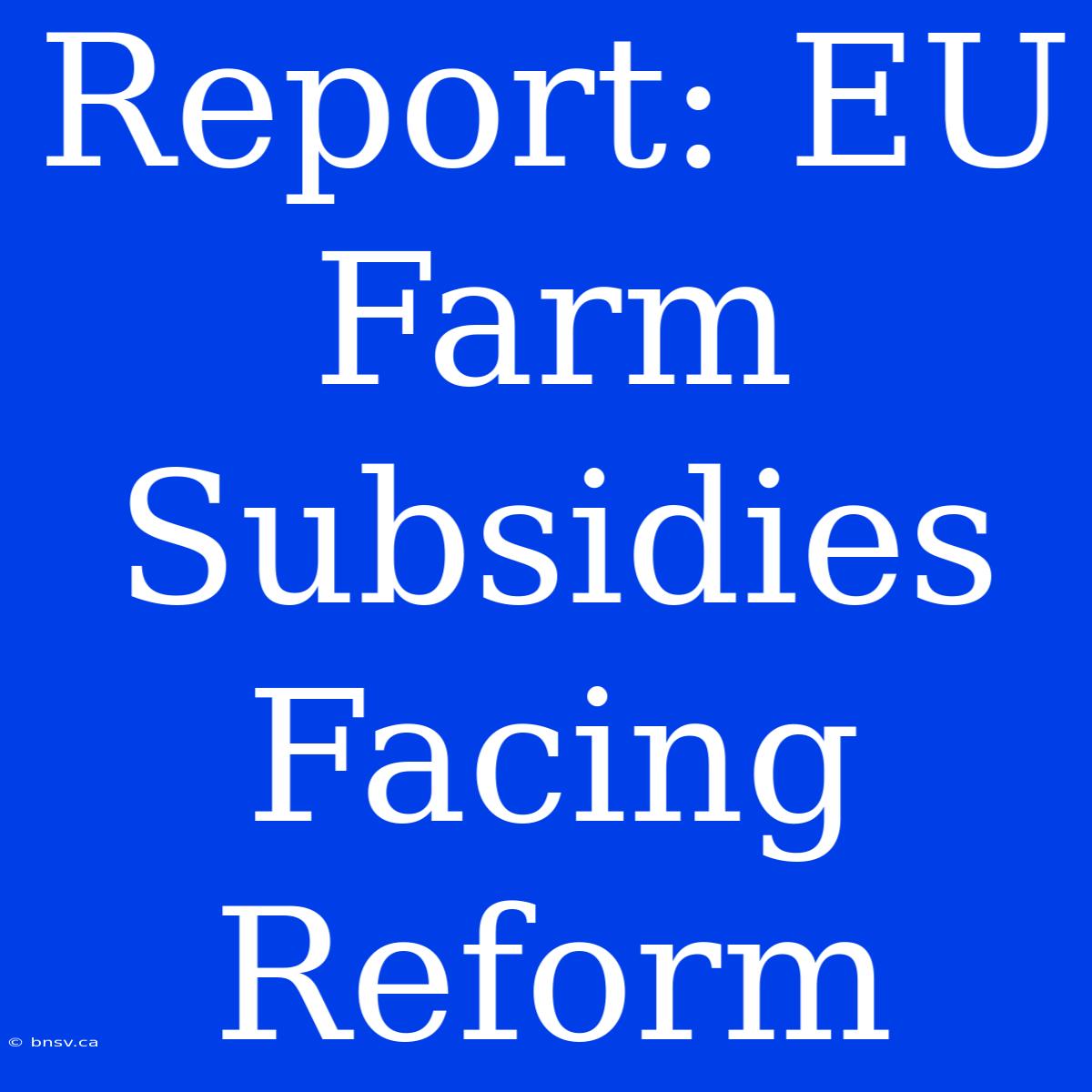 Report: EU Farm Subsidies Facing Reform