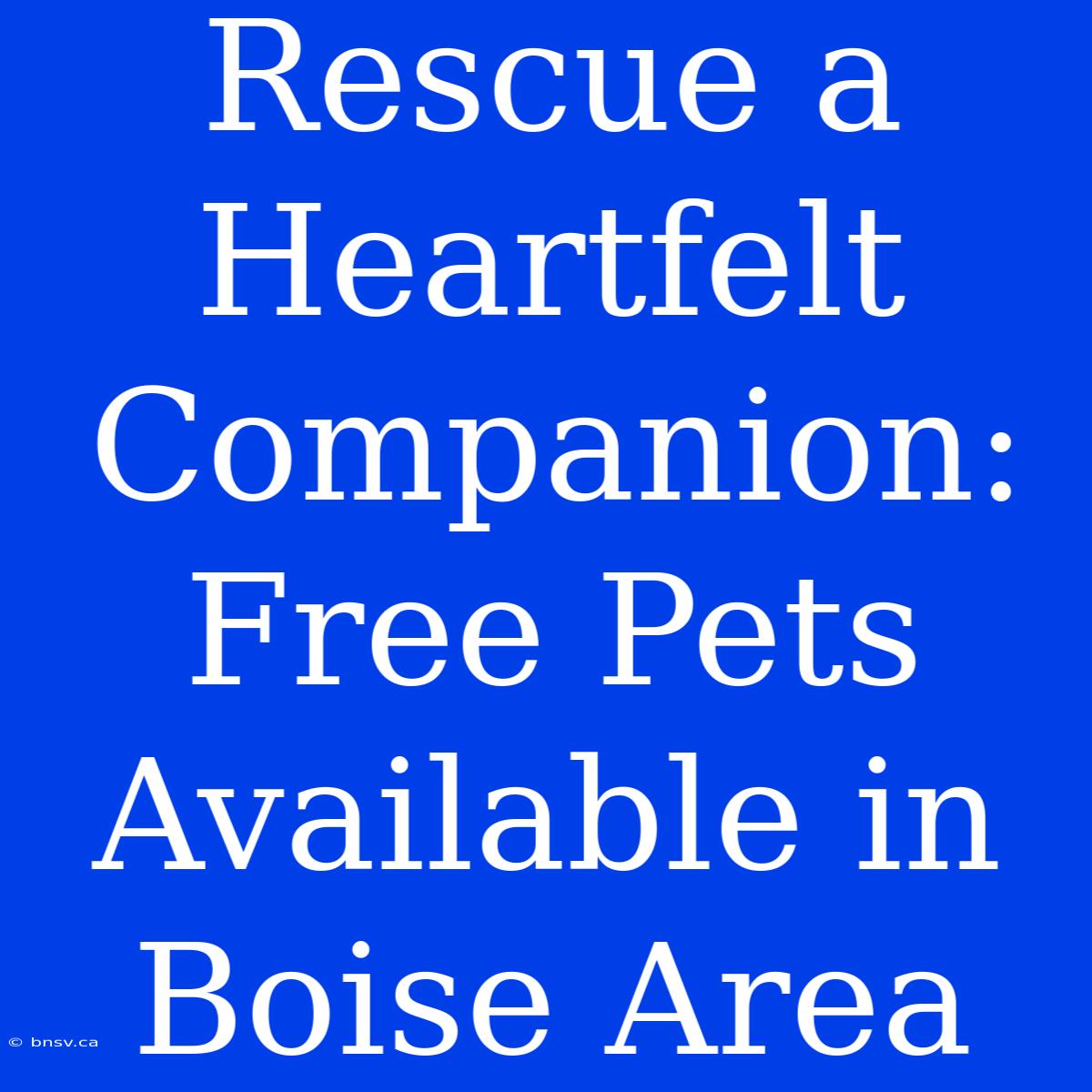 Rescue A Heartfelt Companion: Free Pets Available In Boise Area