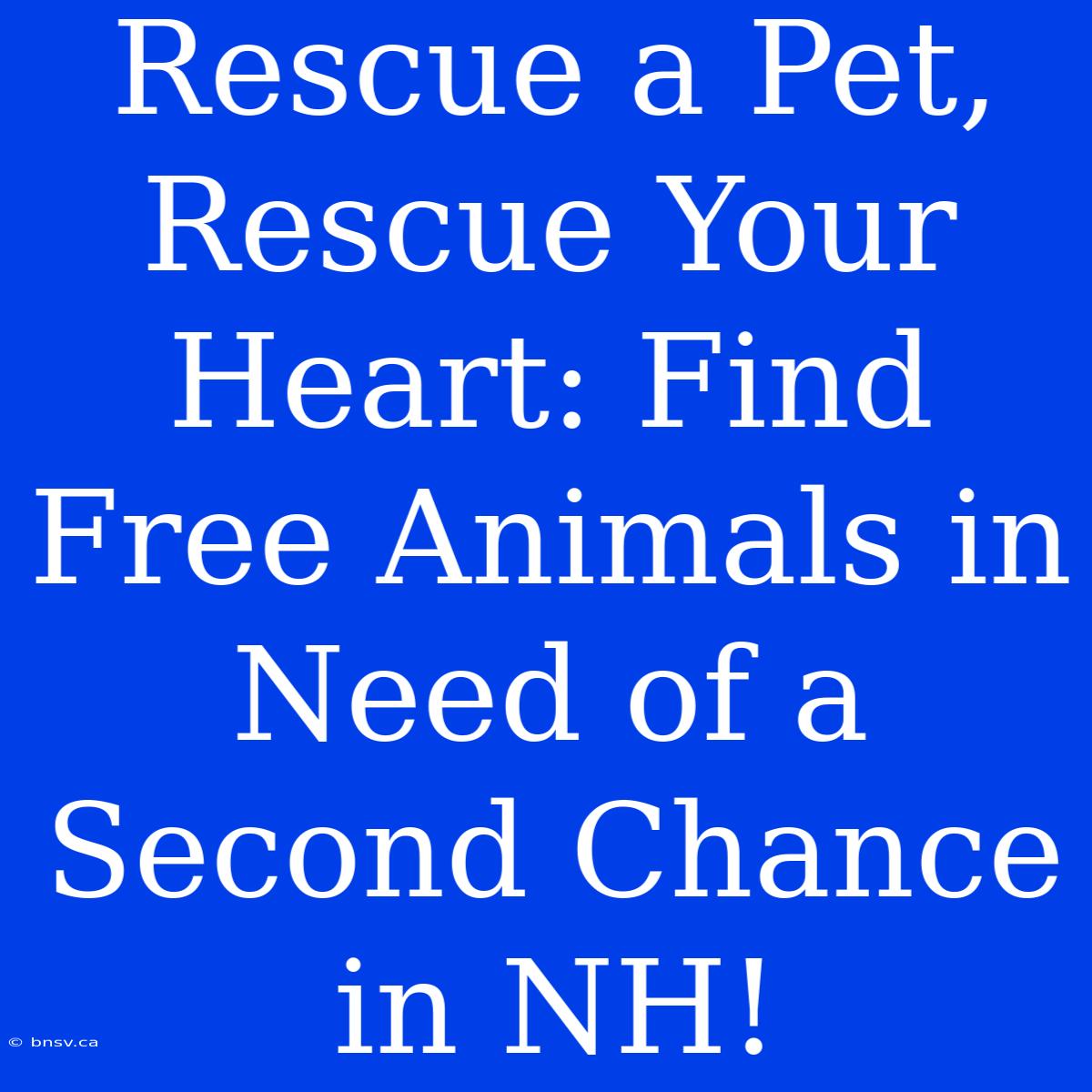 Rescue A Pet, Rescue Your Heart: Find Free Animals In Need Of A Second Chance In NH!