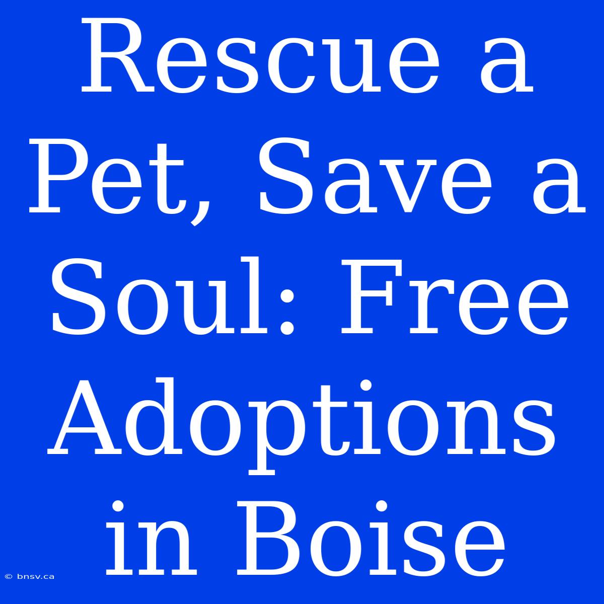 Rescue A Pet, Save A Soul: Free Adoptions In Boise