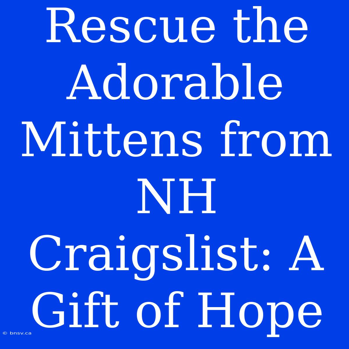 Rescue The Adorable Mittens From NH Craigslist: A Gift Of Hope