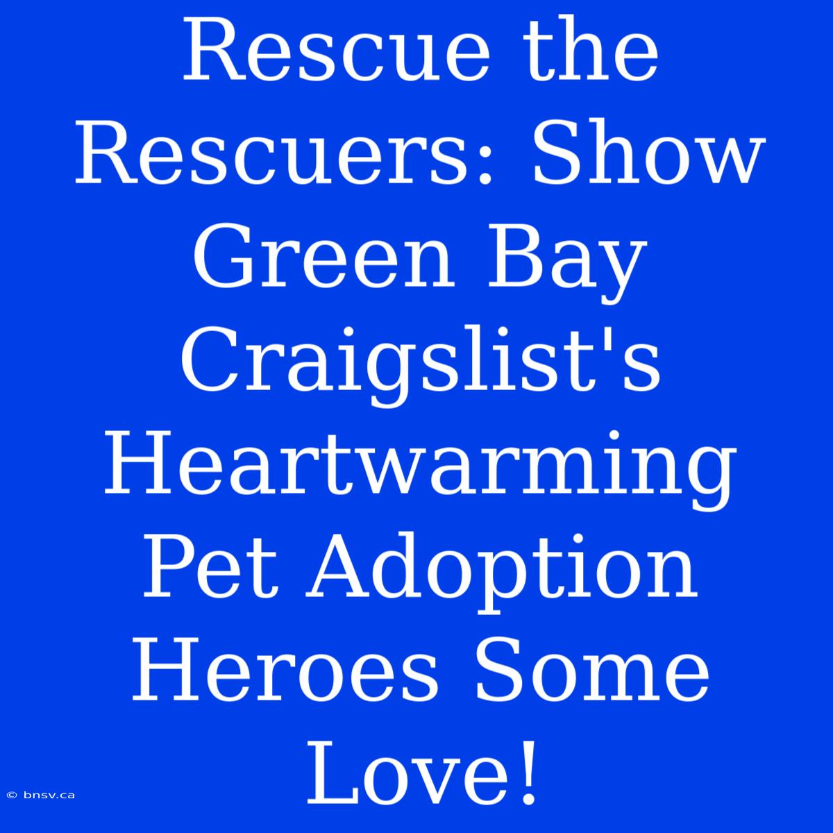 Rescue The Rescuers: Show Green Bay Craigslist's Heartwarming Pet Adoption Heroes Some Love!