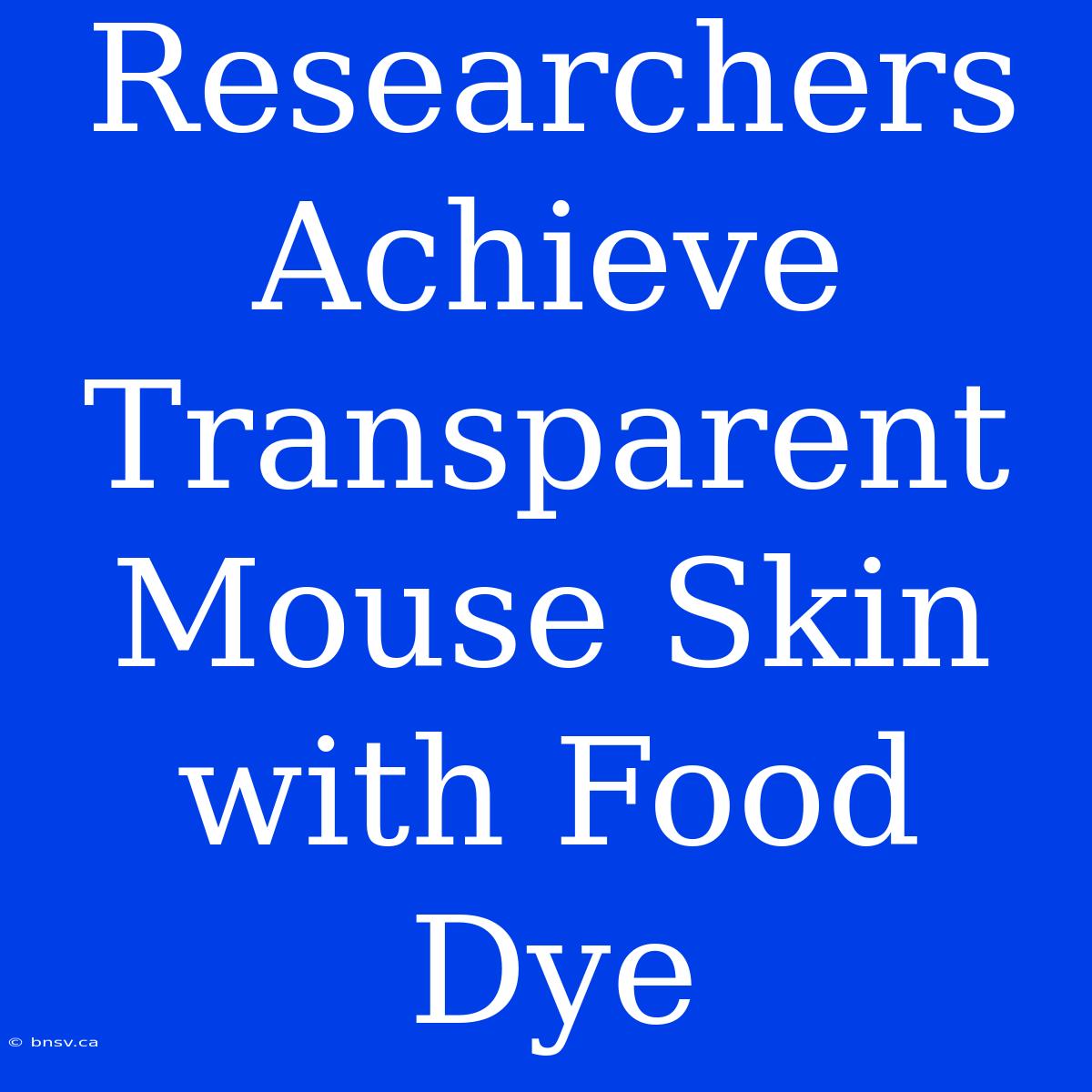 Researchers Achieve Transparent Mouse Skin With Food Dye