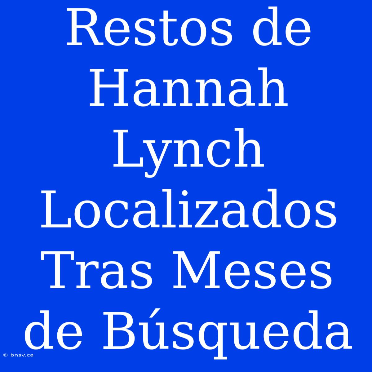 Restos De Hannah Lynch Localizados Tras Meses De Búsqueda