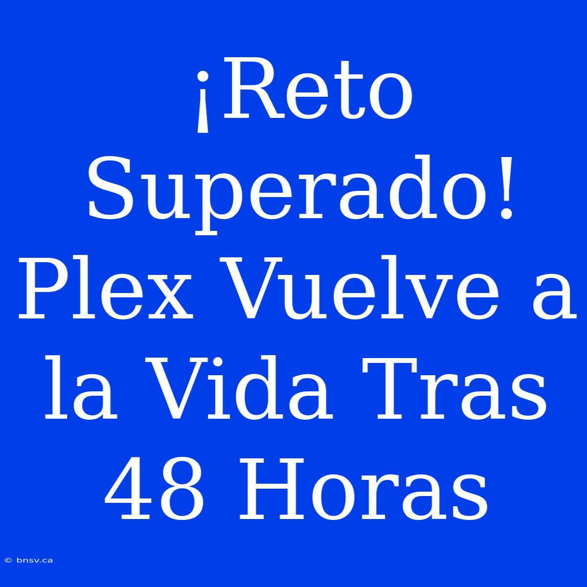 ¡Reto Superado! Plex Vuelve A La Vida Tras 48 Horas