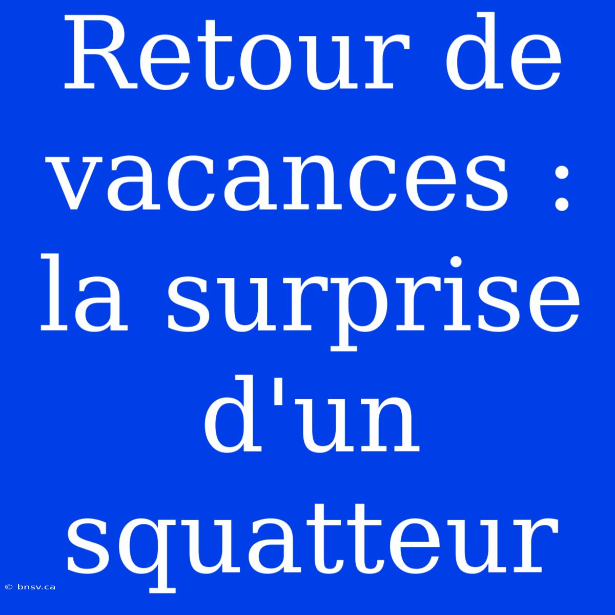 Retour De Vacances : La Surprise D'un Squatteur