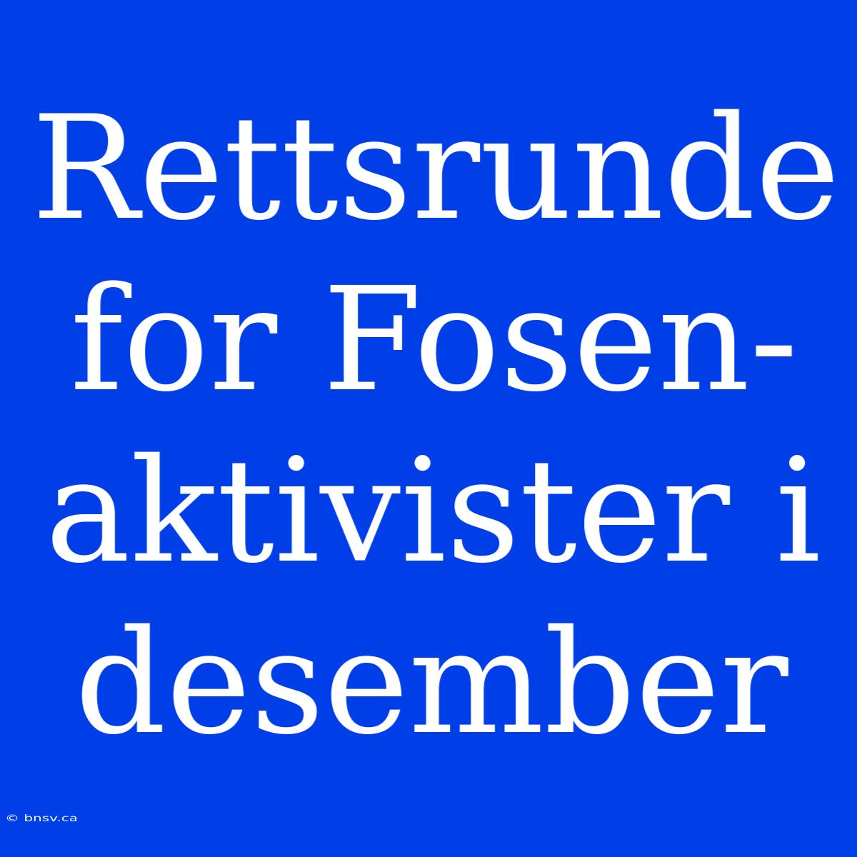 Rettsrunde For Fosen-aktivister I Desember