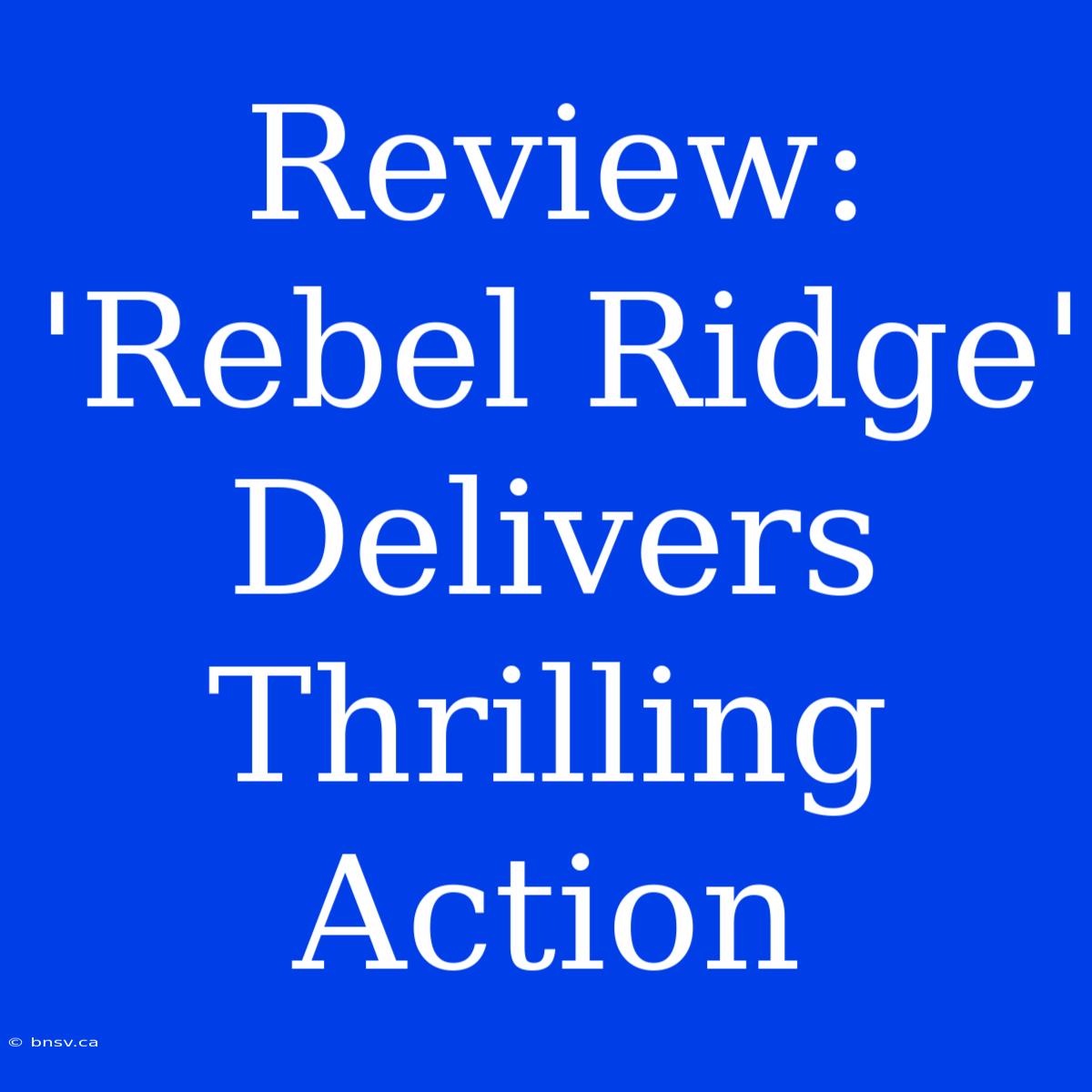 Review: 'Rebel Ridge' Delivers Thrilling Action