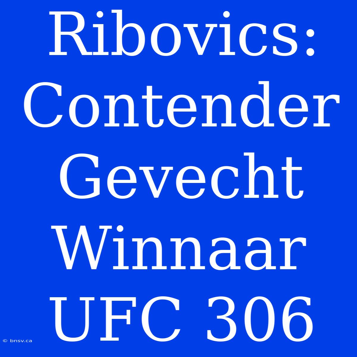 Ribovics: Contender Gevecht Winnaar UFC 306