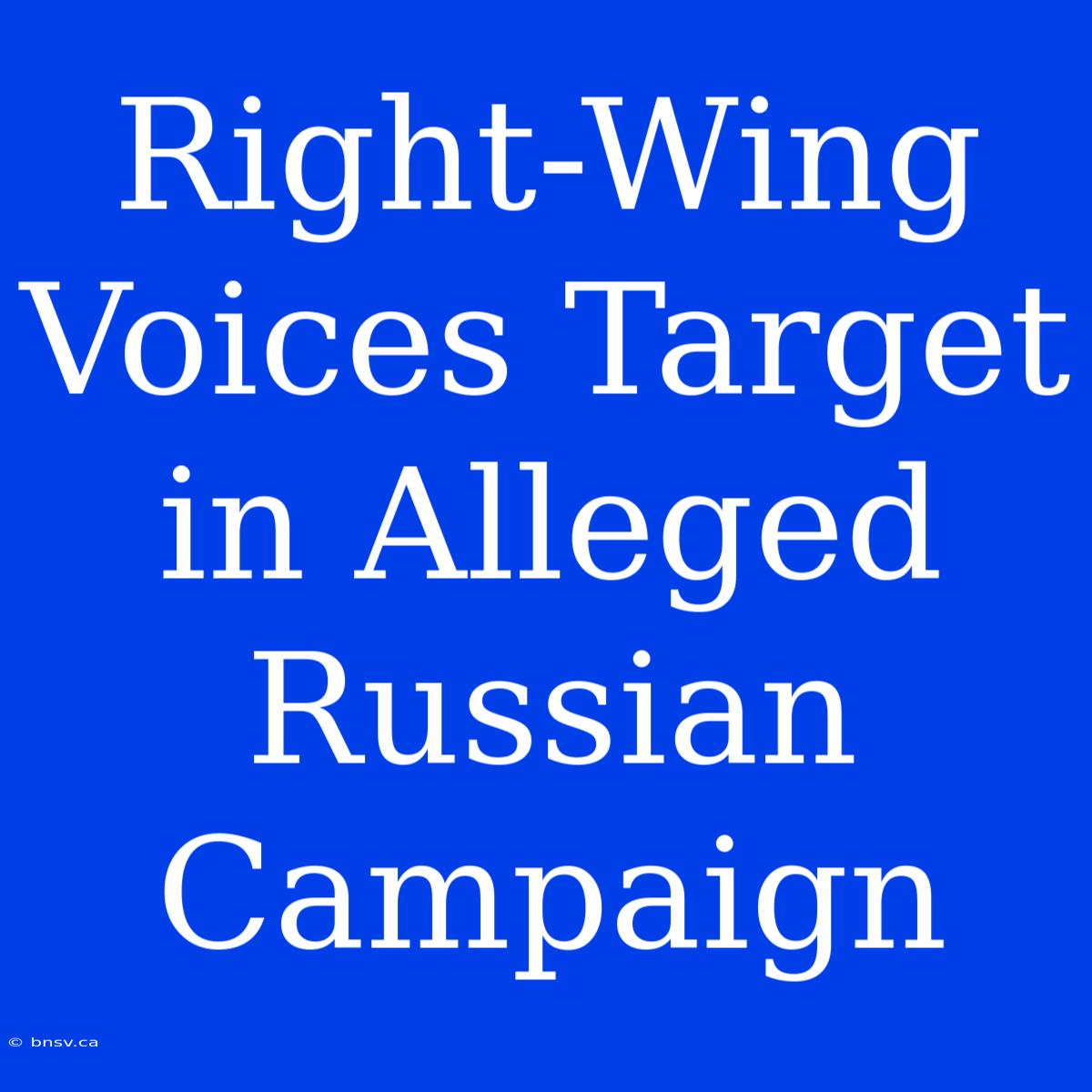 Right-Wing Voices Target In Alleged Russian Campaign