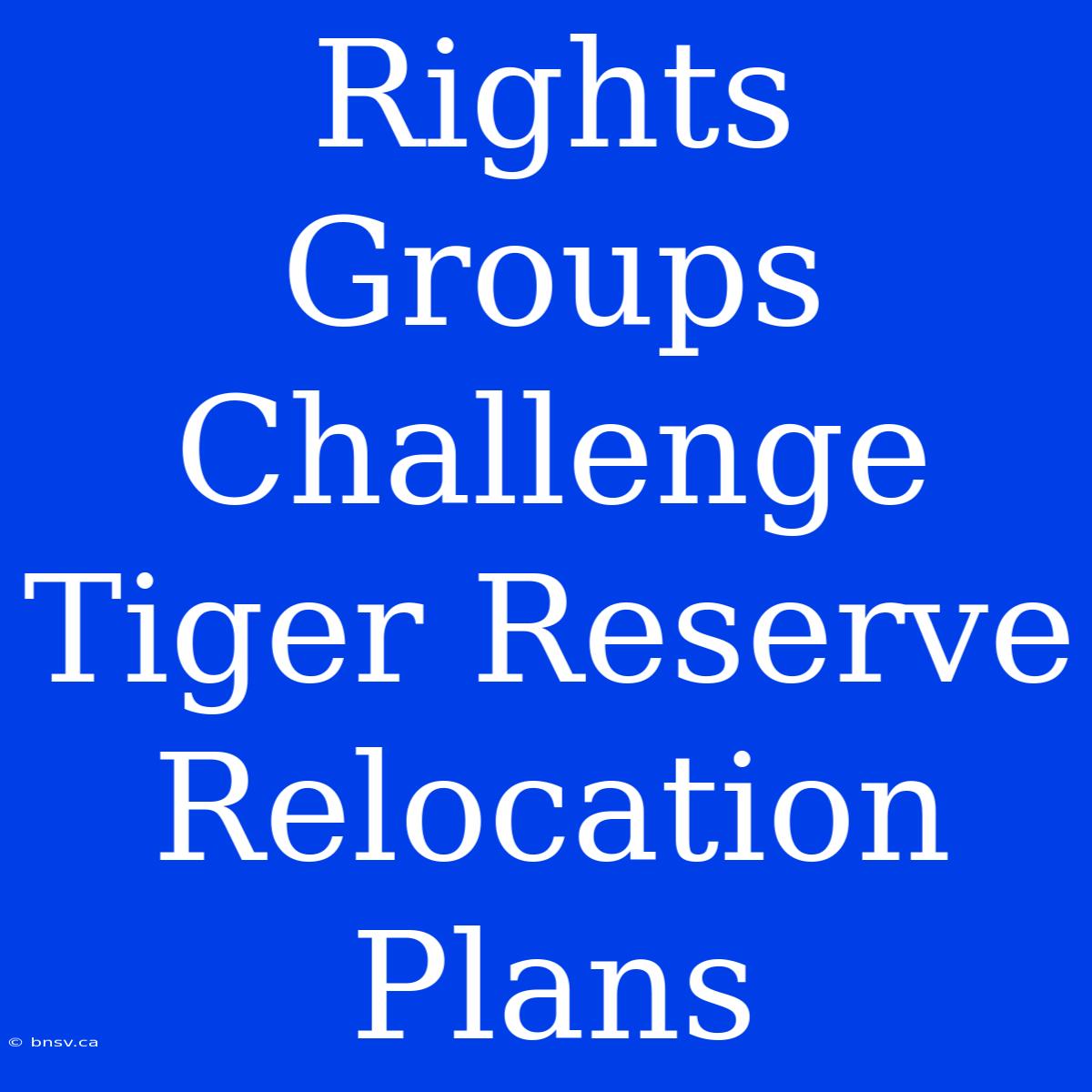 Rights Groups Challenge Tiger Reserve Relocation Plans