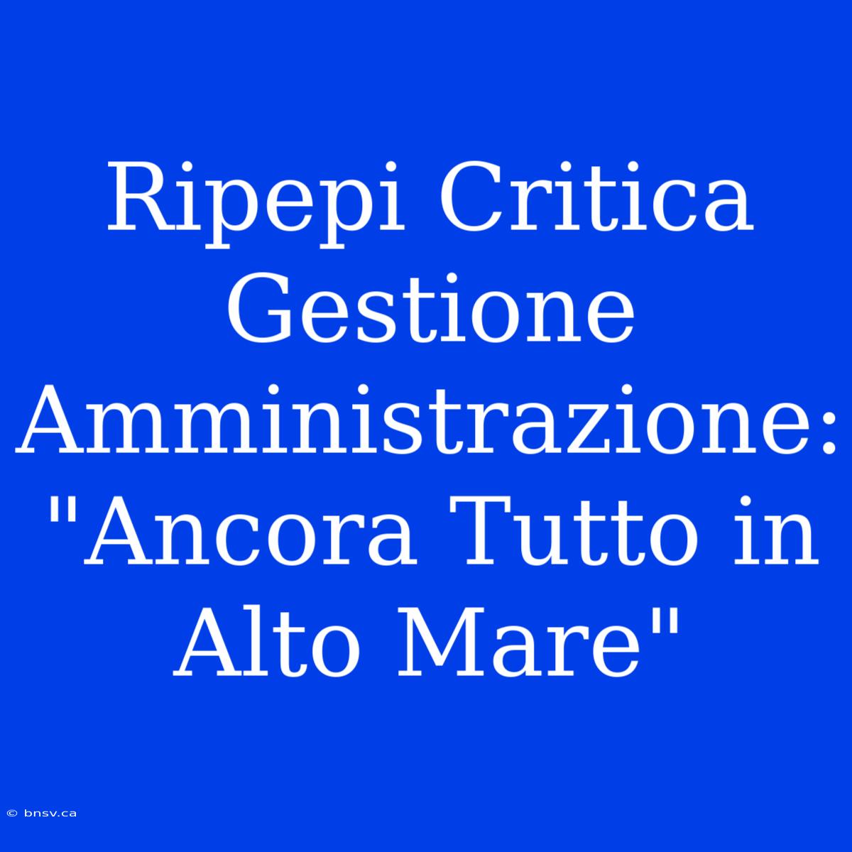 Ripepi Critica Gestione Amministrazione: 