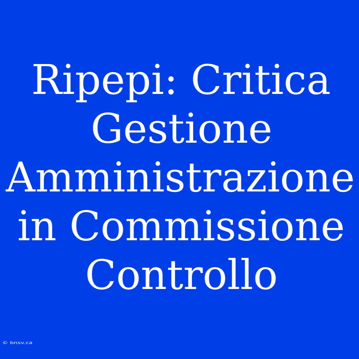 Ripepi: Critica Gestione Amministrazione In Commissione Controllo