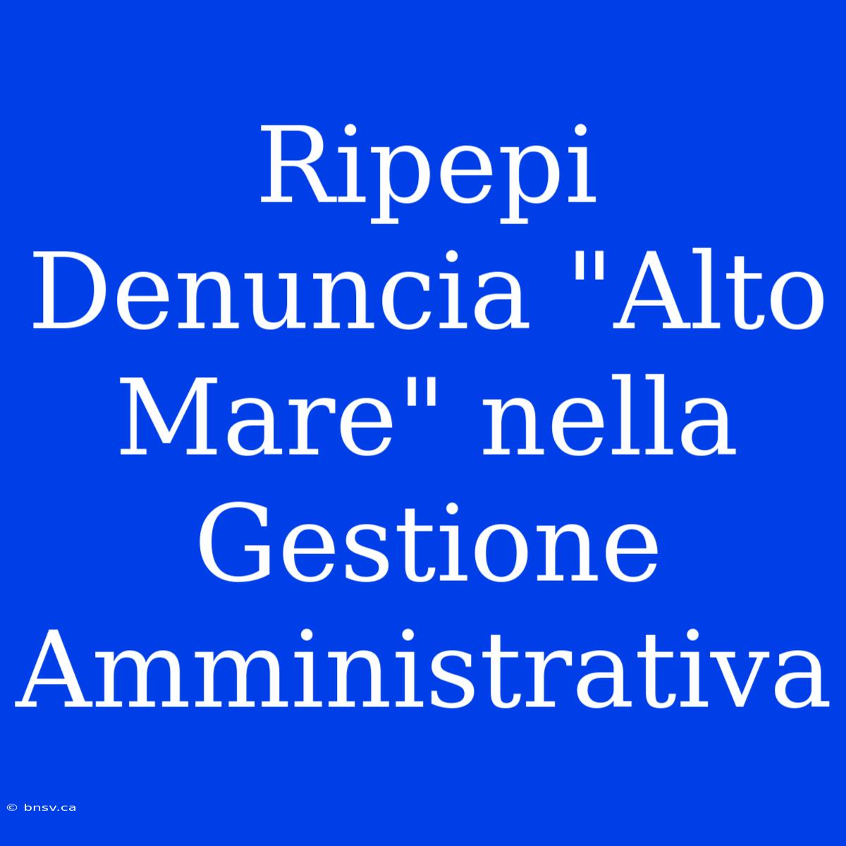 Ripepi Denuncia 