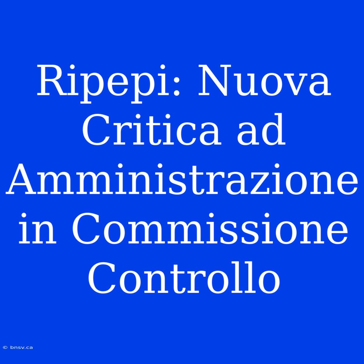 Ripepi: Nuova Critica Ad Amministrazione In Commissione Controllo