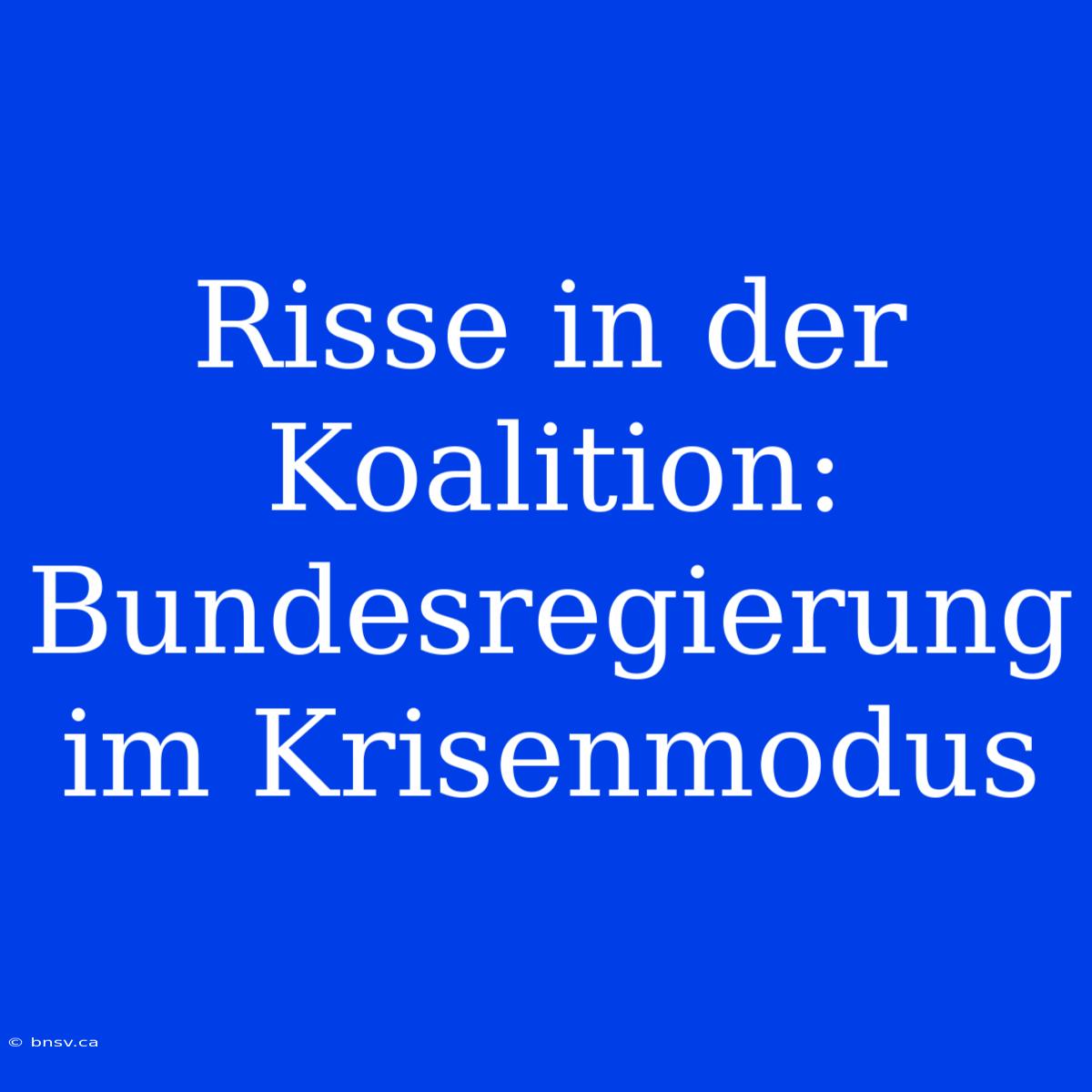 Risse In Der Koalition: Bundesregierung Im Krisenmodus