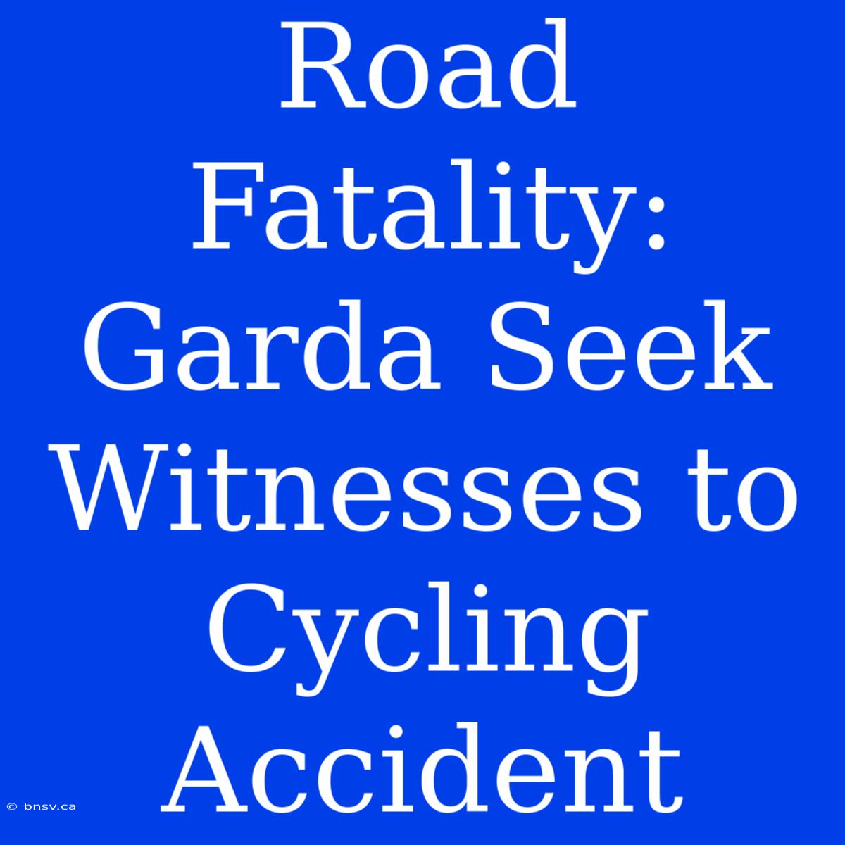 Road Fatality: Garda Seek Witnesses To Cycling Accident